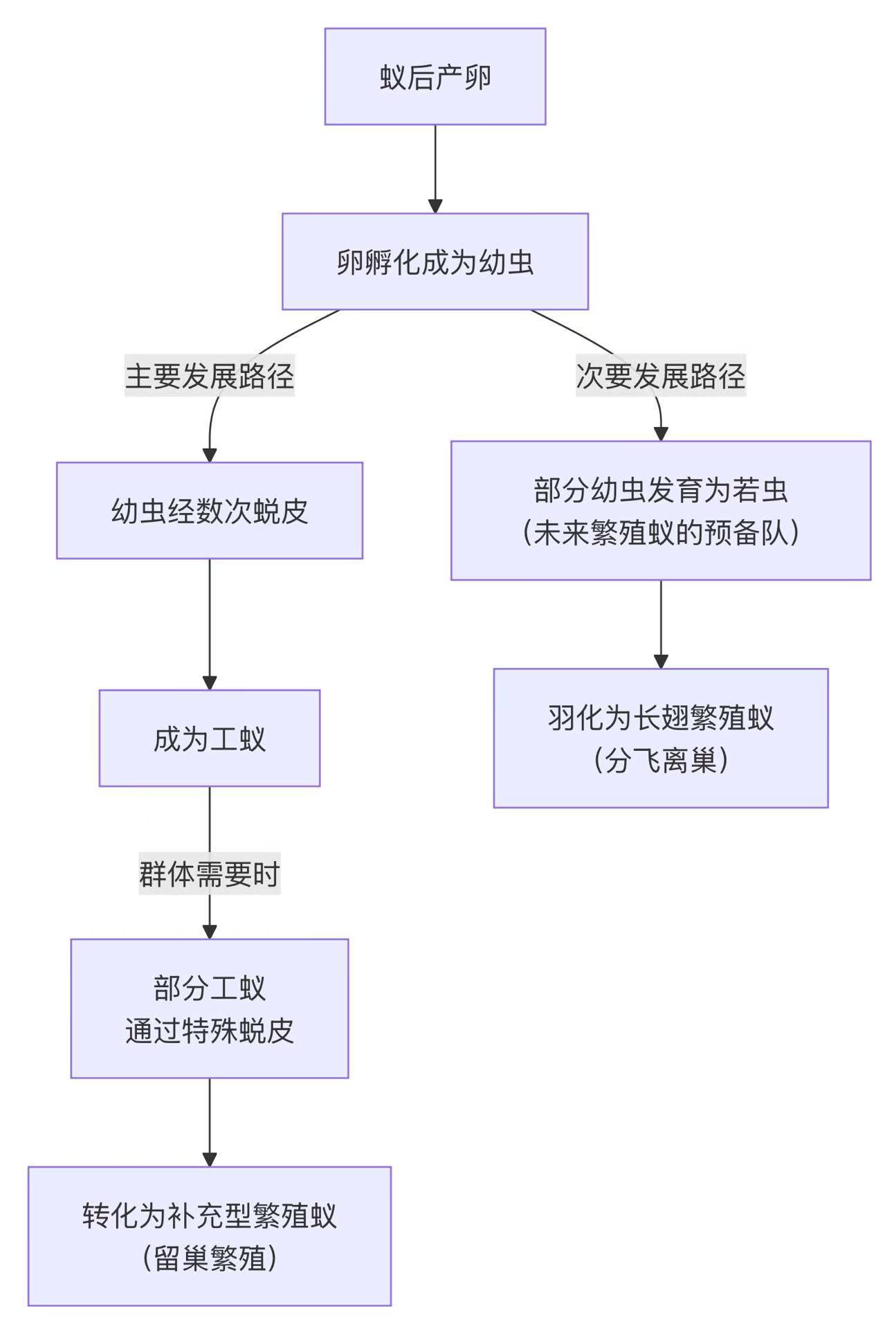 1758512844203901.jpg dffda04e899863420443d0b5ebb5d852.jpg